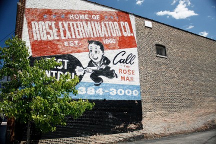Exterminator