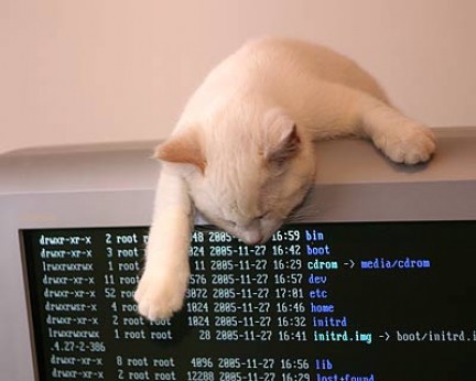 Linux server