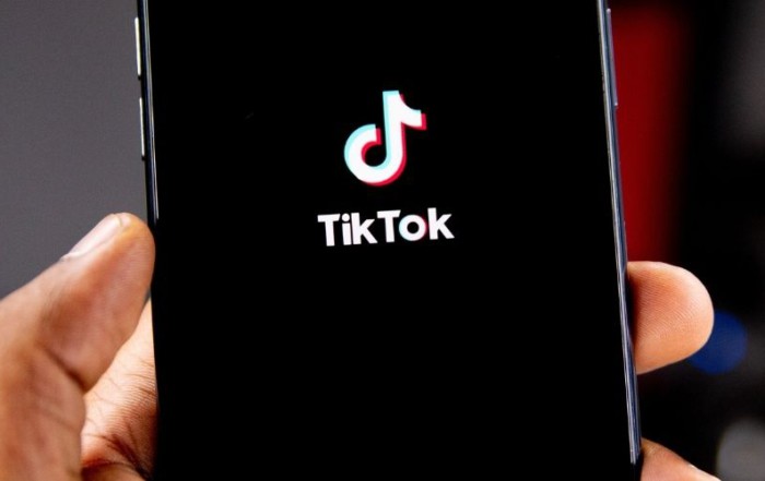 TikTok è il dominio più popolare del 2021